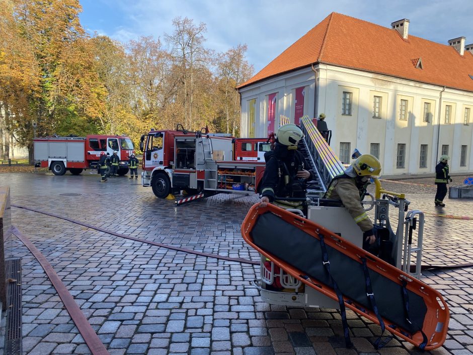 Aliarmas Valdovų rūmuose: ko ugniagesiai ropštėsi ant jo stogo?