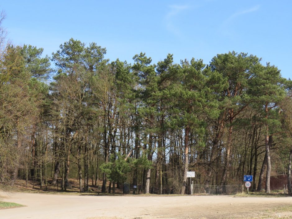 Iš kapinių kaimynystės iškelta asfaltbetonio bazė