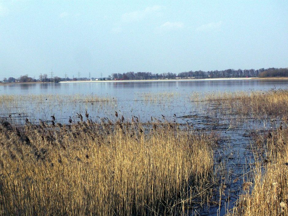 Ginčo dėl patekimo prie tvenkinio Šiaulių rajone imasi teismas