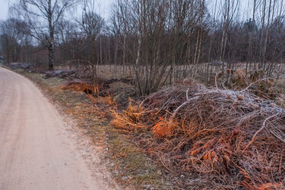 Tragiškos būklės Jūrės kelias – vėl akiratyje: darbininkai dingo vos įpusėjus darbus