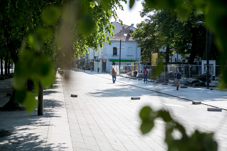 nekvalifikuotas akcijų pasirinkimo patarėjas