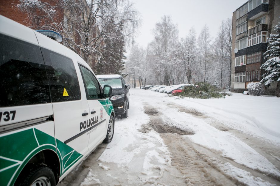 Ugniagesiai kliūtis šalina be atokvėpio: medžius teko nukelti ir nuo automobilių