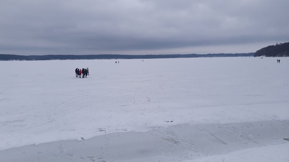 Neatsakingas elgesys: ant Kauno marių ledo lipa būriais