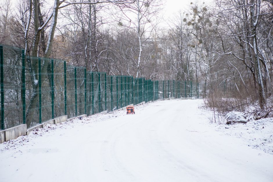 Šiurpi Zoologijos sodo mįslė – su vagystės šešėliu