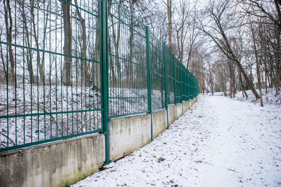 Šiurpi Zoologijos sodo mįslė – su vagystės šešėliu