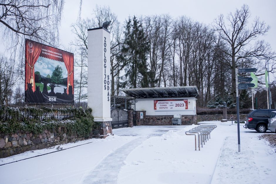 Šiurpi Zoologijos sodo mįslė – su vagystės šešėliu