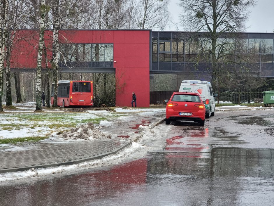 Per plauką nuo tragedijos: autobuso vairuotojas prarado sąmonę ties posūkiu, kur jo laukė keleiviai