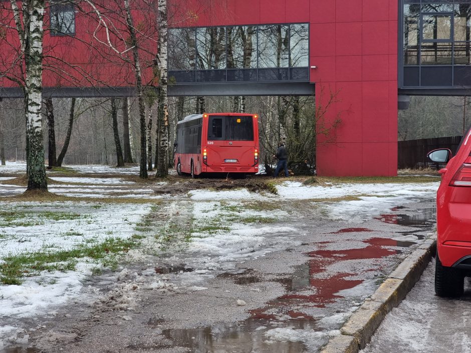 Per plauką nuo tragedijos: autobuso vairuotojas prarado sąmonę ties posūkiu, kur jo laukė keleiviai