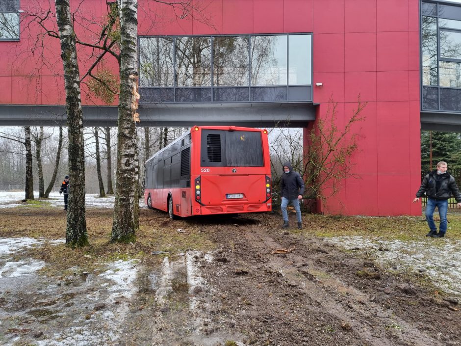 Per plauką nuo tragedijos: autobuso vairuotojas prarado sąmonę ties posūkiu, kur jo laukė keleiviai