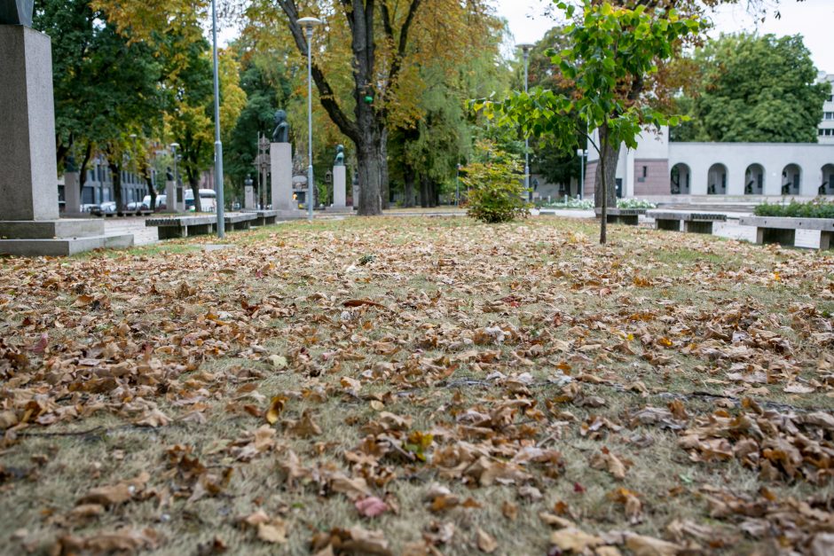 Didmaišius lapams išbandę gyventojai: pasiteisino, tai – išsigelbėjimas rudenį