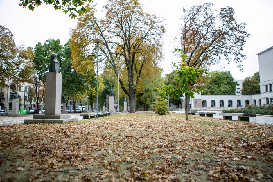 Didmaišius lapams išbandę gyventojai: pasiteisino, tai – išsigelbėjimas rudenį