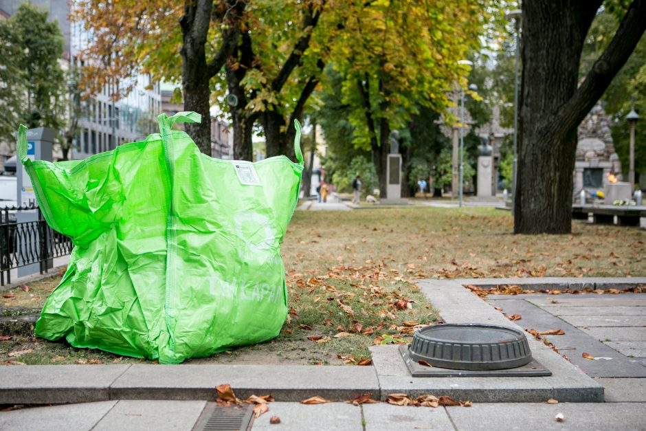 Didmaišius lapams išbandę gyventojai: pasiteisino, tai – išsigelbėjimas rudenį