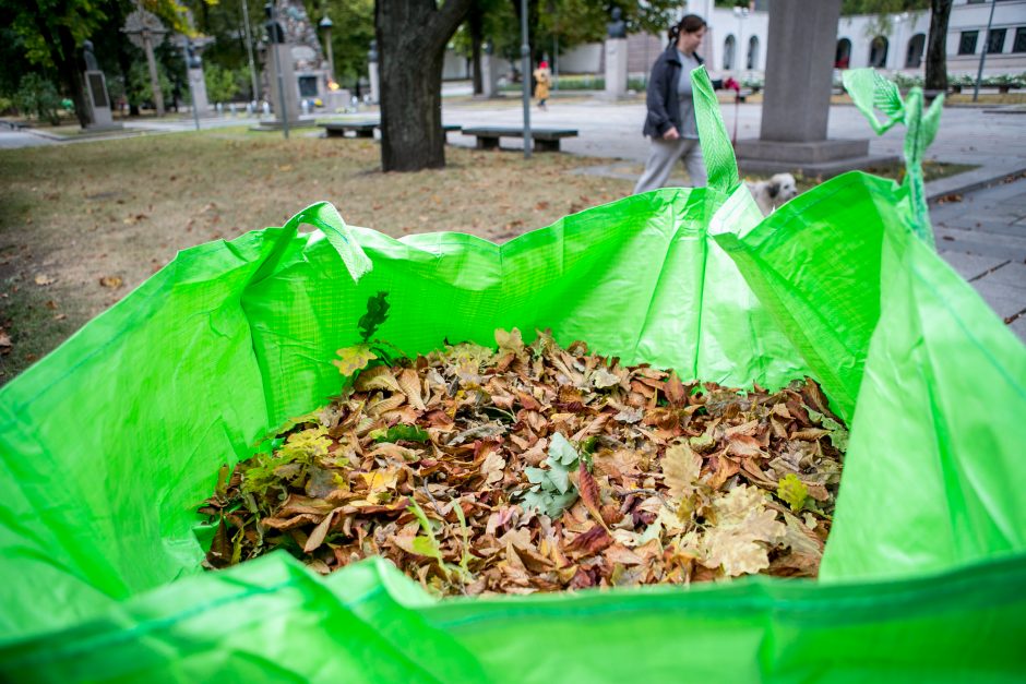 Didmaišius lapams išbandę gyventojai: pasiteisino, tai – išsigelbėjimas rudenį