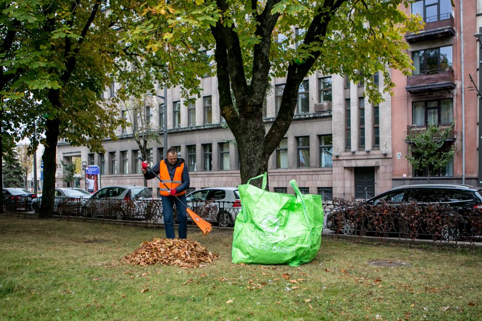 Didmaišius lapams išbandę gyventojai: pasiteisino, tai – išsigelbėjimas rudenį