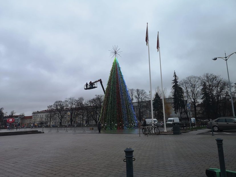 Po nusivylimo atodūsių Vilniaus egle – savivaldybės atsakas: tai – tik pradžia