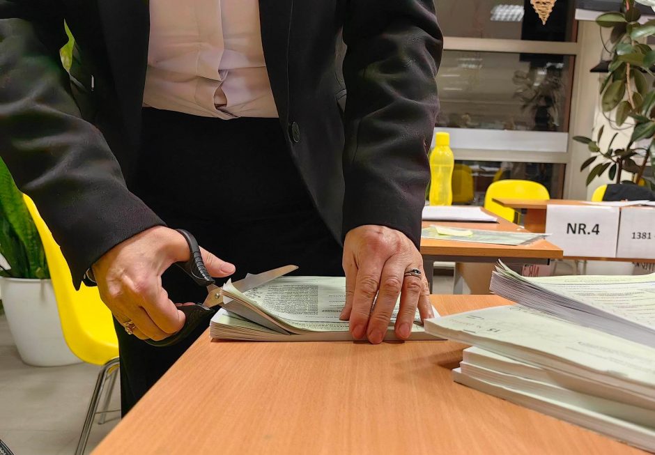 Tarpiniai rinkimų rezultatai: aiškėja lyderiai