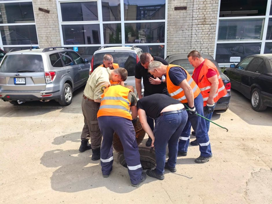 Cheminės taršos Raudondvario plente šaltinio paieškos pasiekė Šilainius: kas nuodija miestą?