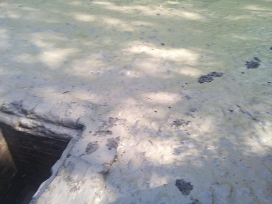 Unikalią erdvę užliejo vanduo: per purvą ir varles nesimato autentiško grindinio