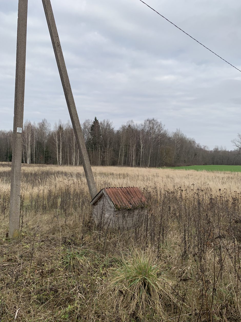 Paskutinė Henytės slaptavietė Lietuvoje (išskirtinė medžiaga)