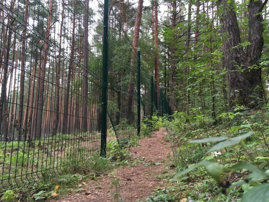 Vandalai suniokojo naują Petrašiūnų kapinių tvorą