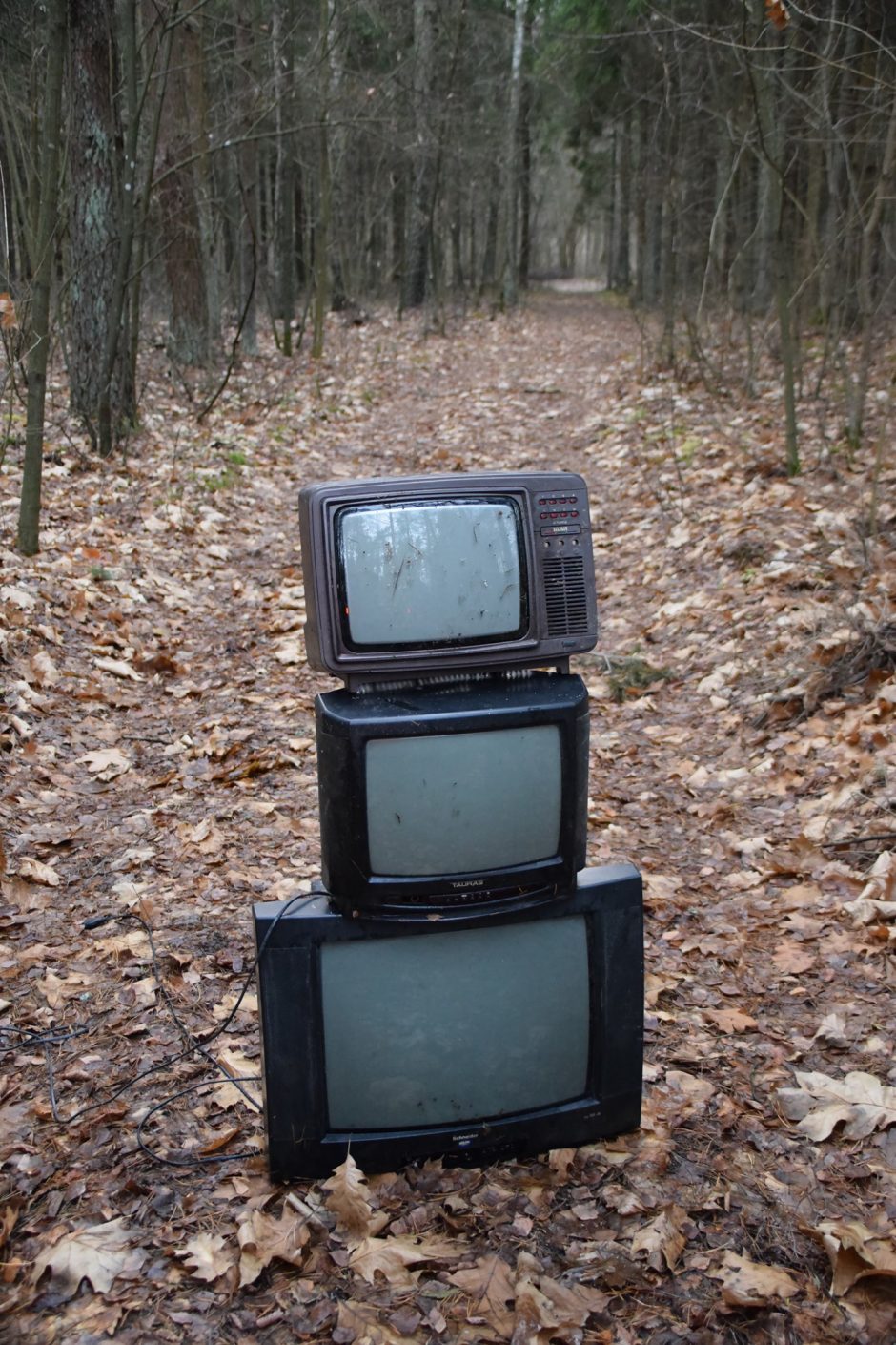 Gamtos reindžeriai Kauno marių pakrantes vaduoja nuo išmestų televizorių