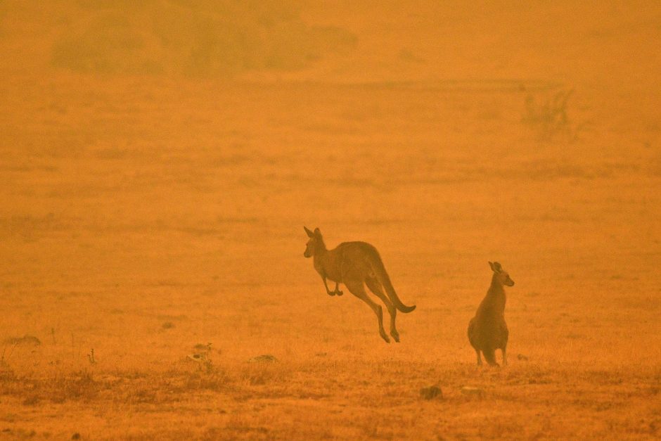 Lietuvė papasakojo apie siaubą Australijoje: širdį veria apokaliptiniai vaizdai