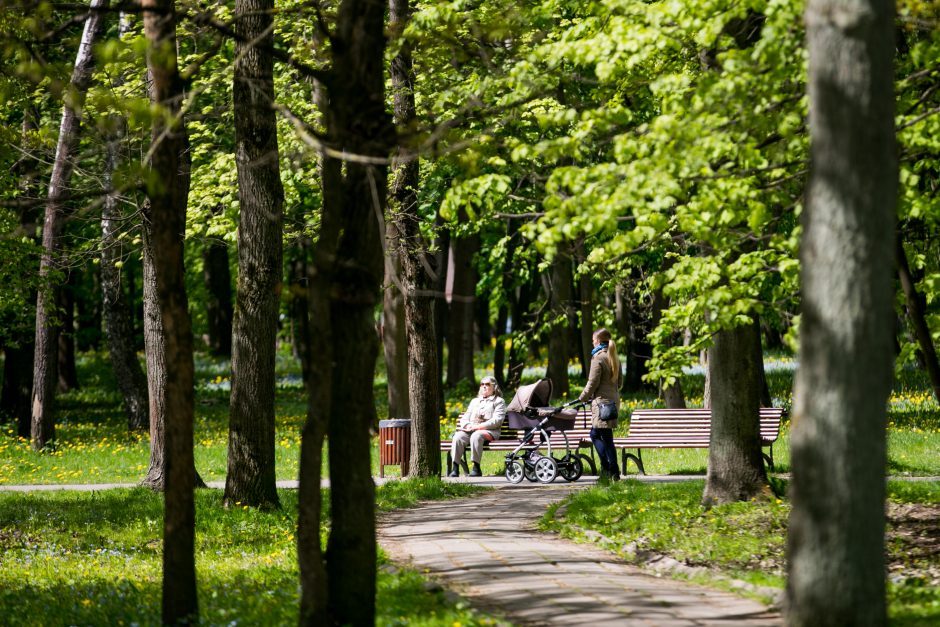 Ąžuolyno projektas juda link pabaigos: kada planuojama pradėti darbus?