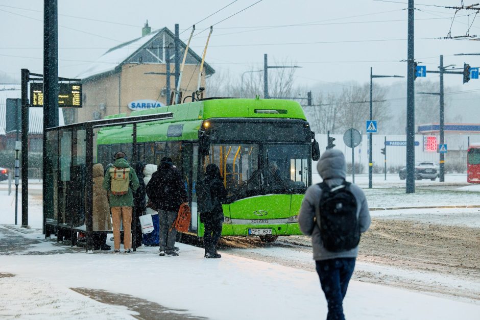 Dėl stipraus vėjo ir snygio elektros dar neturi beveik 2 tūkst. vartotojų