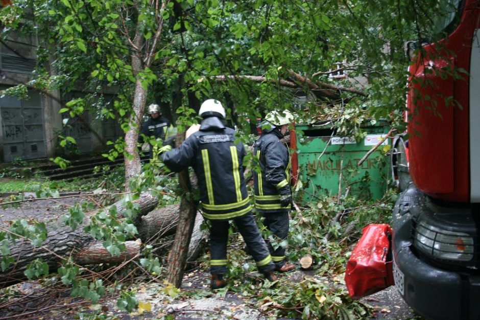 Nelaimė: pjaunamas medis užvirto ant vyro, jam plyšo pažastis