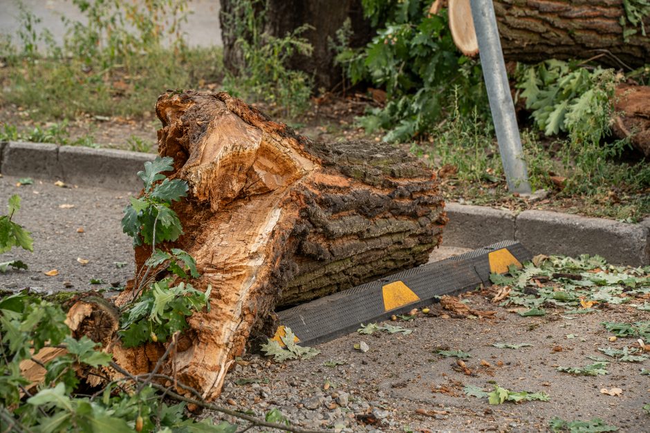 Virtęs medis pridarė daug žalos ir įsiutino gyventojus: ne pirmas kartas