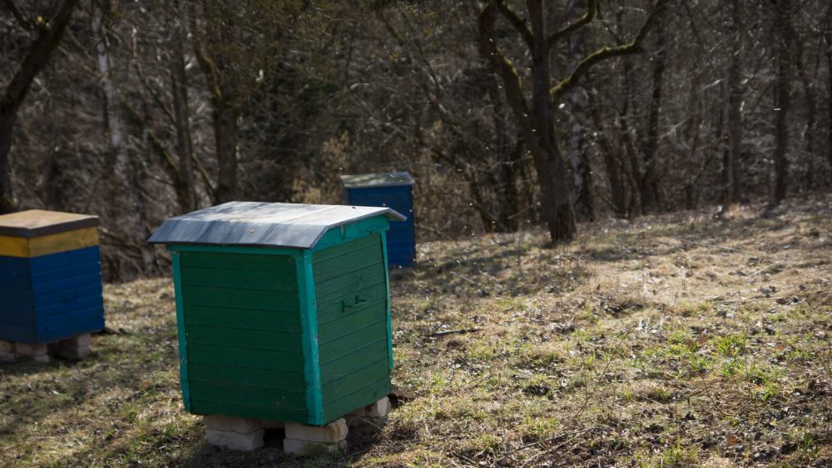Liaudies buities muziejuje – linksma ir skani Gandrinių šventė