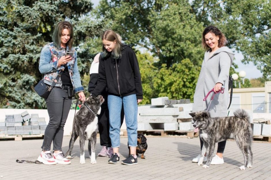 Panevėžyje mitingą surengę gyvūnų mylėtojai liejo pyktį