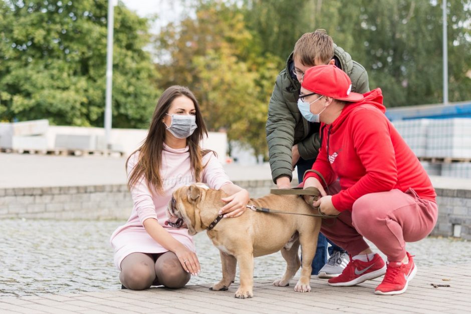 Panevėžyje mitingą surengę gyvūnų mylėtojai liejo pyktį