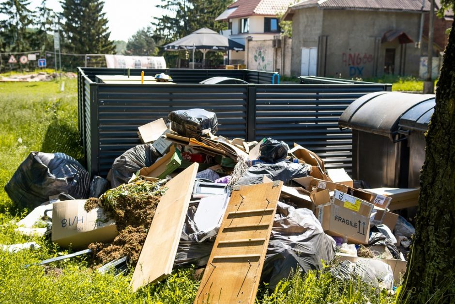 Šiukšlių krūvomis miesto centre pasibaisėjusi panevėžietė: mačiau žiurkes, smarvė nosį riečia