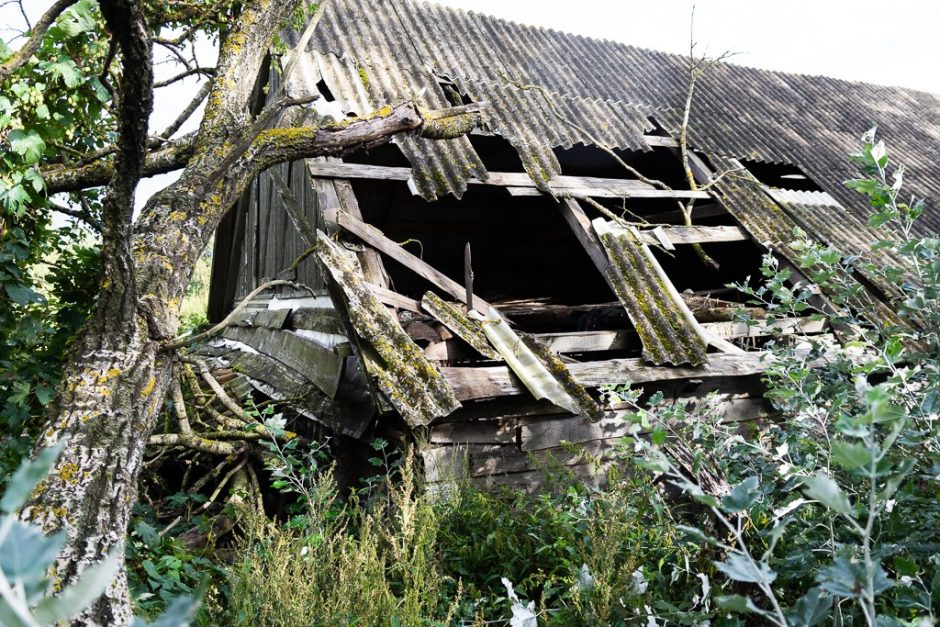 Būrys savanorių skubėjo į Panevėžio rajoną: iš apleistos trobos išgelbėta 11 šuniukų