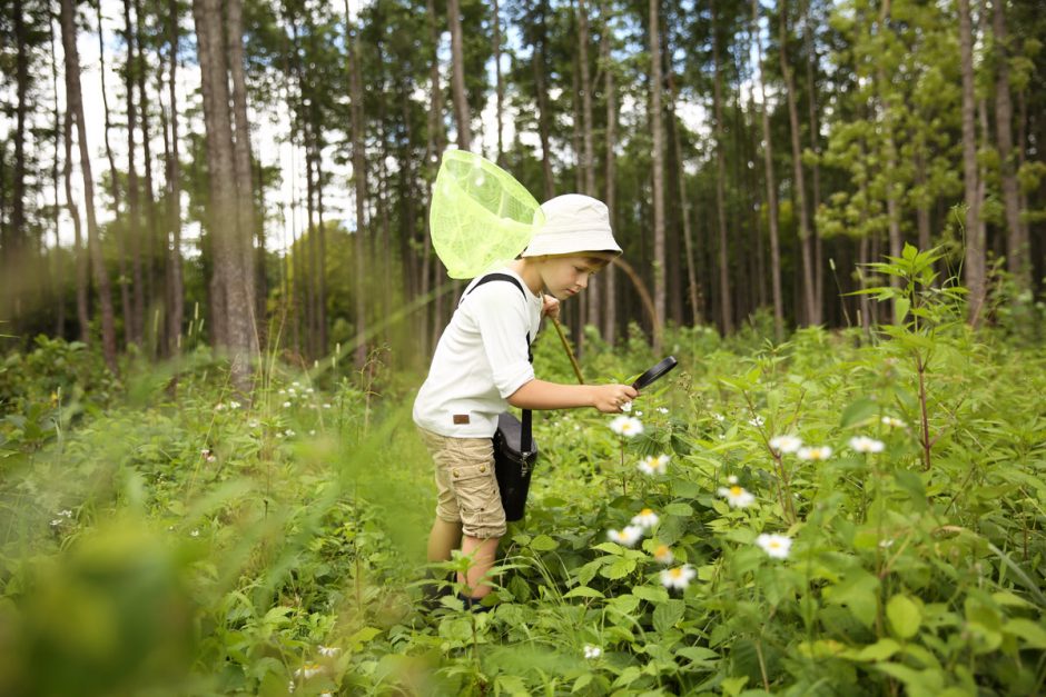 Geriausia erdvė ugdyti vaiką: patarimai iš specialistės lūpų