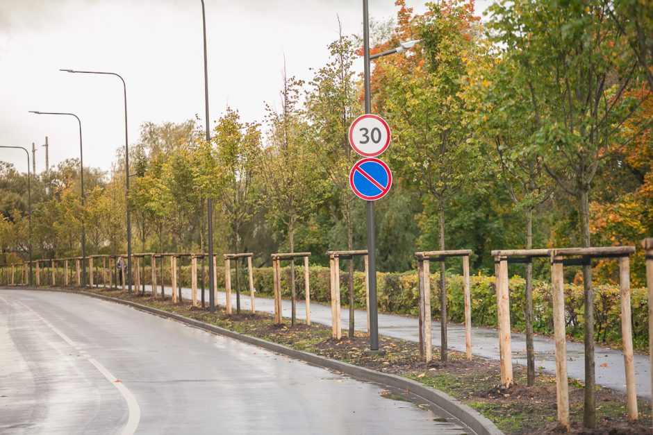 Skirtingas Kauno erdves praturtins šimtai medžių