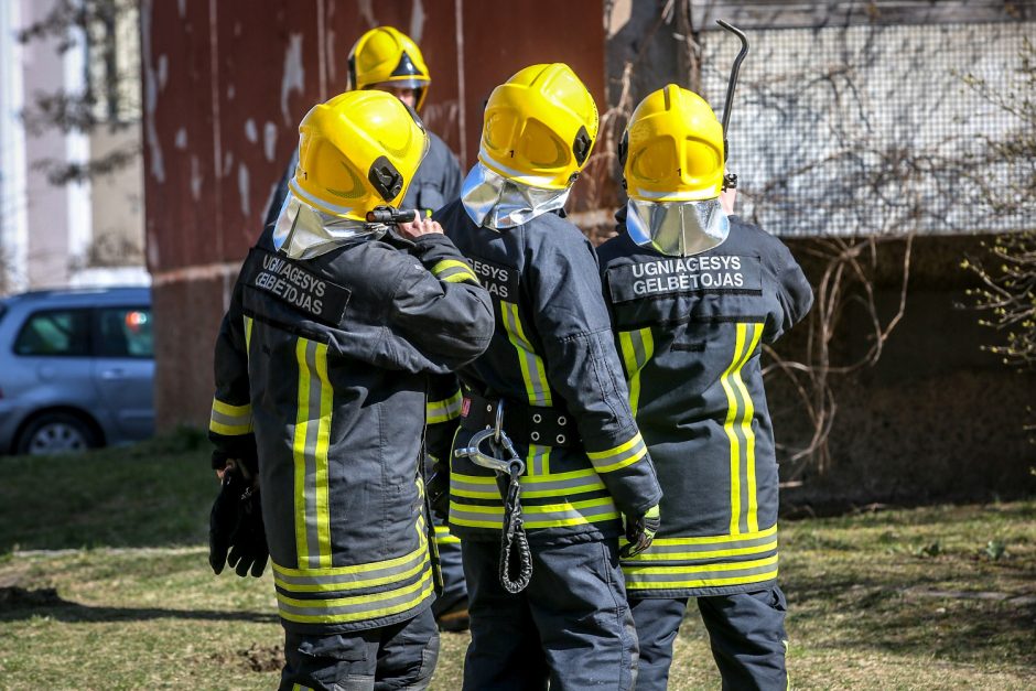 Kas pakels cinikų, besityčiojančių iš specialiųjų tarnybų, mestą pirštinę?