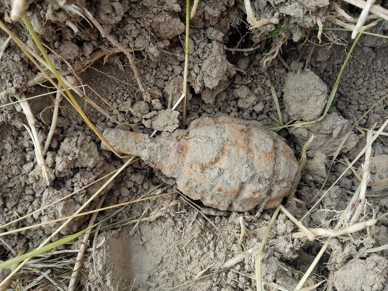 Vilkaviškio rajono laukuose metalo detektorius aptiko rankinę granatą