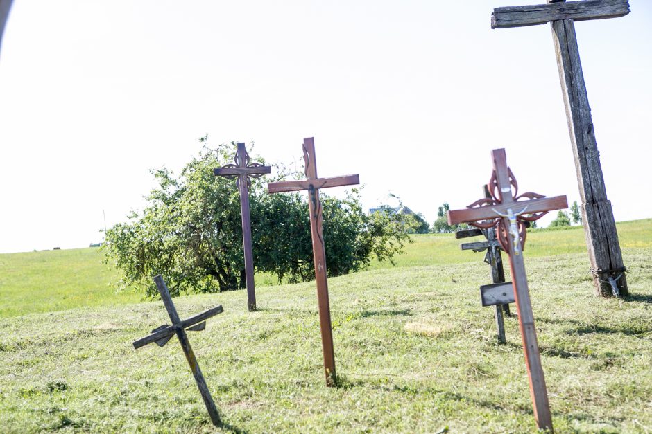 Nekrikstų Kapinaitėse Pleciasi Kryzių Kalnelis Kaunodiena Lt