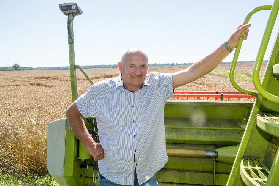 Ūkininkavimo sūpynės pakaunėje kyla į viršų