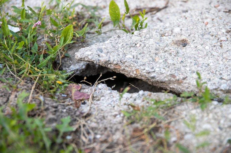 Gyventojai stveriasi už galvų: į namus – slenkančia gatve