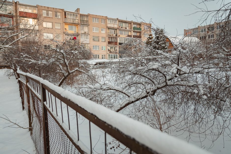 Gyventojai nerimauja: vietoje medinuko iškils daugiabutis?