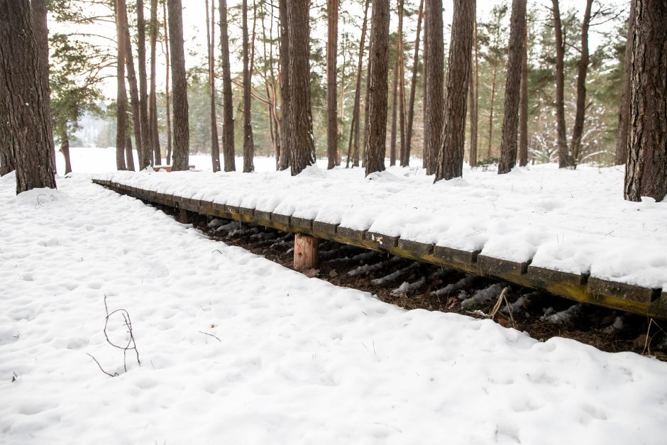 Už ES lėšas sutvarkytas privatus parkas Kauno rajone – atviras?