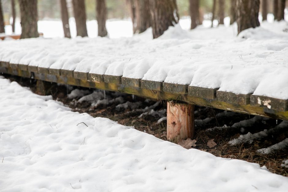 Už ES lėšas sutvarkytas privatus parkas Kauno rajone – atviras?