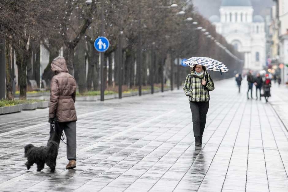 Į teismą pakviestas liudytojas dėl karantino mirko lietuje: ar tai normalu?