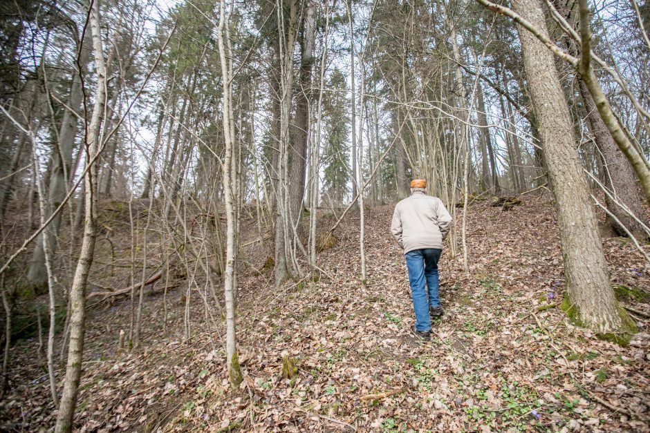 Miške medžių šakas genėjęs vyras aptiko šokiruojantį radinį