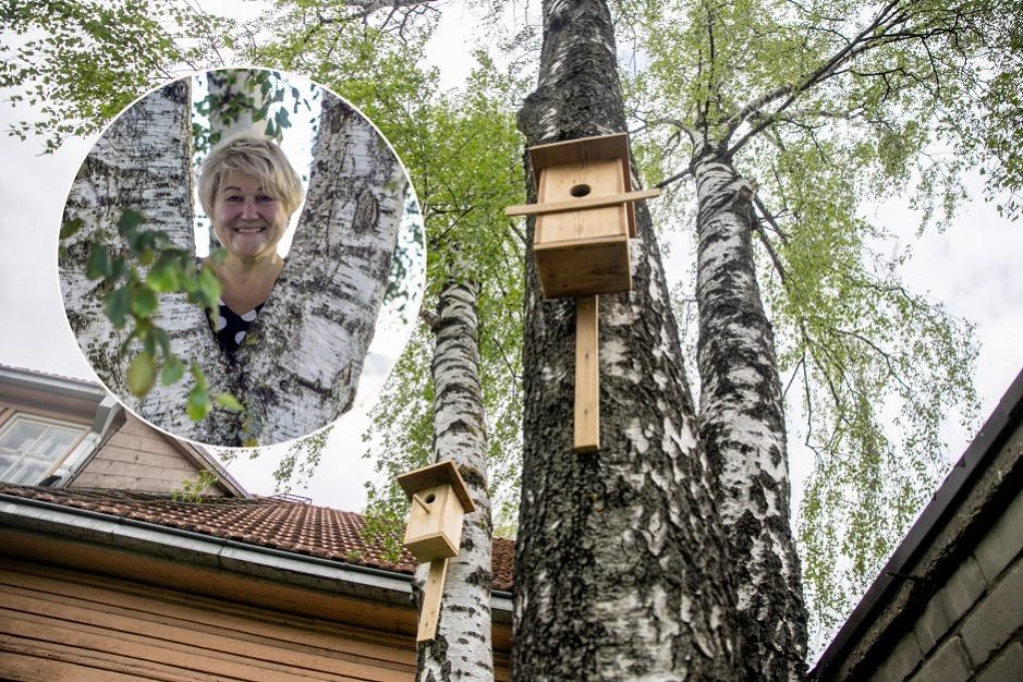 Dėl inkilų kabinimo akcijos muziejaus darbuotoja neteko darbo