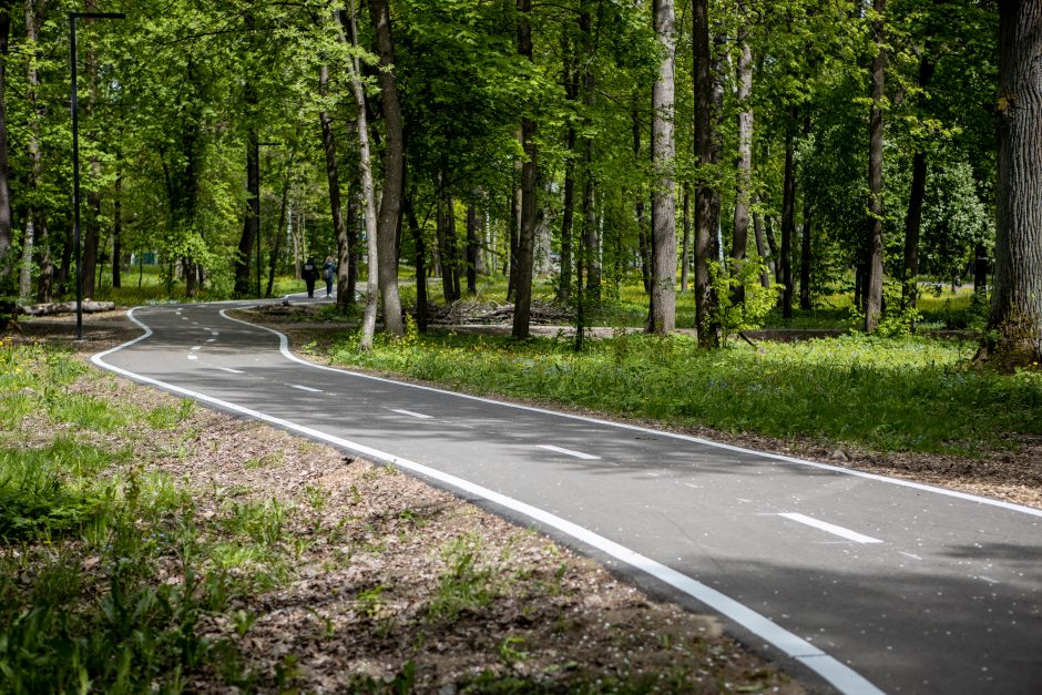 Dviračių takas Ąžuolyne: vieniems primena automagistralę, kitiems – pakilimo taką 