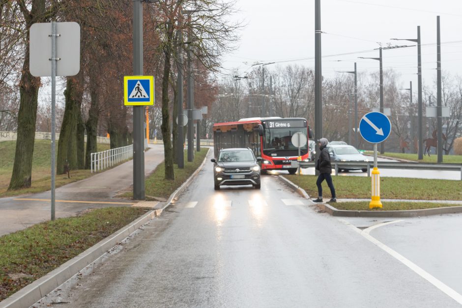 Senamiestį apmokestins jau vasarą?